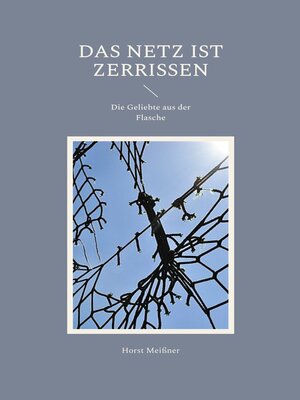 cover image of Das Netz ist zerrissen
